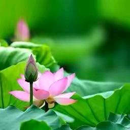 🚀¹⁶⁸⁸小曾