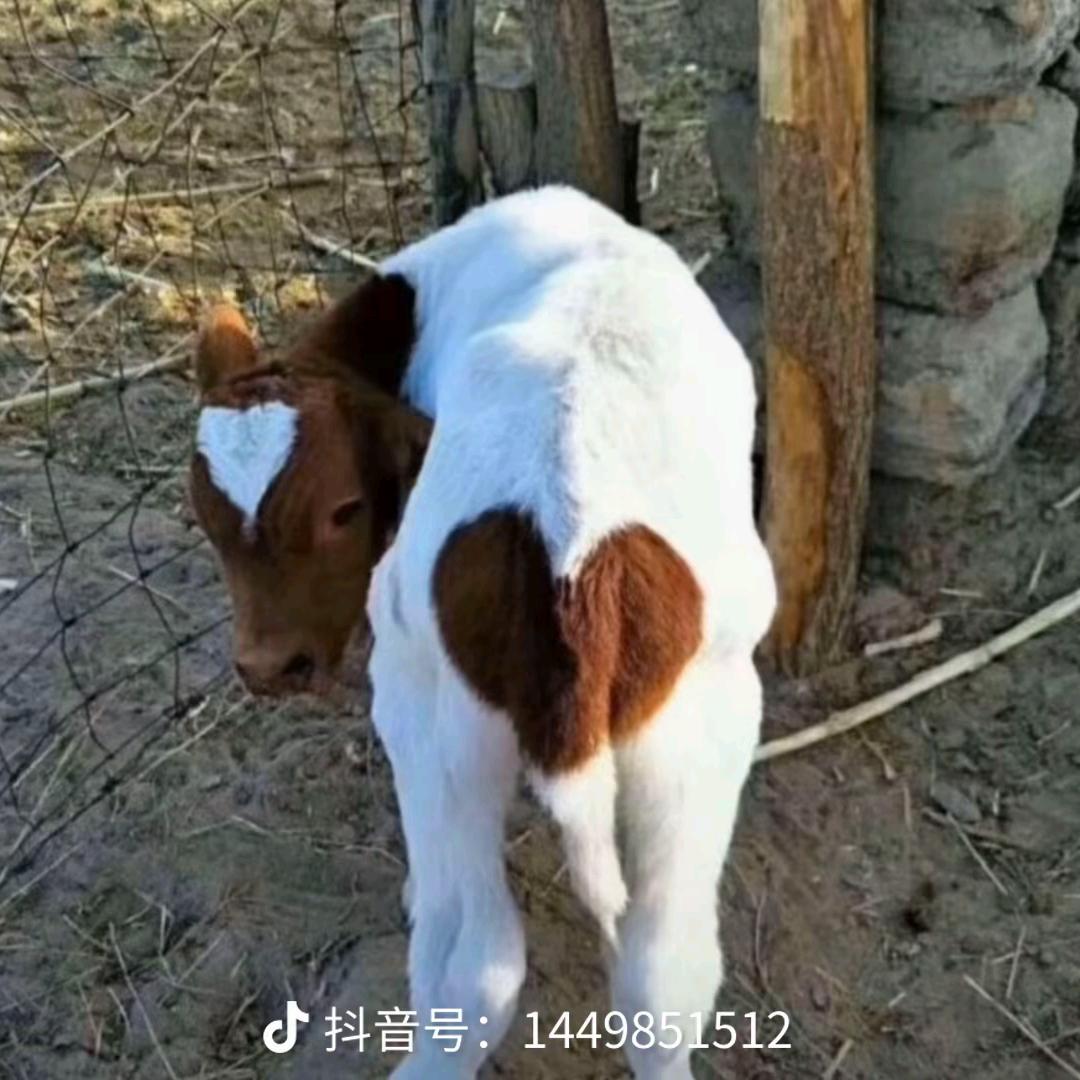 🌈🌈俗人一个