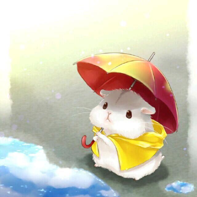 老刘家的🇨🇳强强