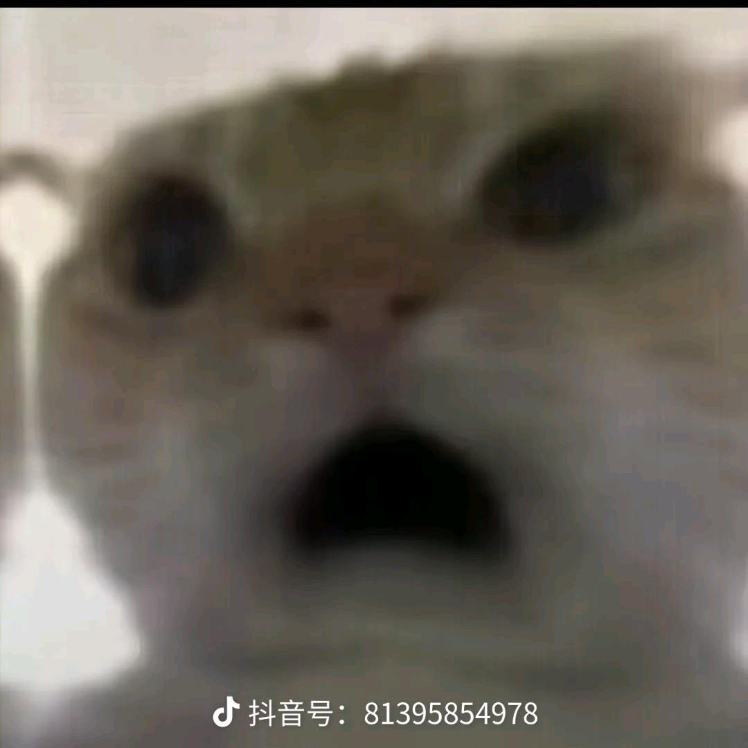 善一