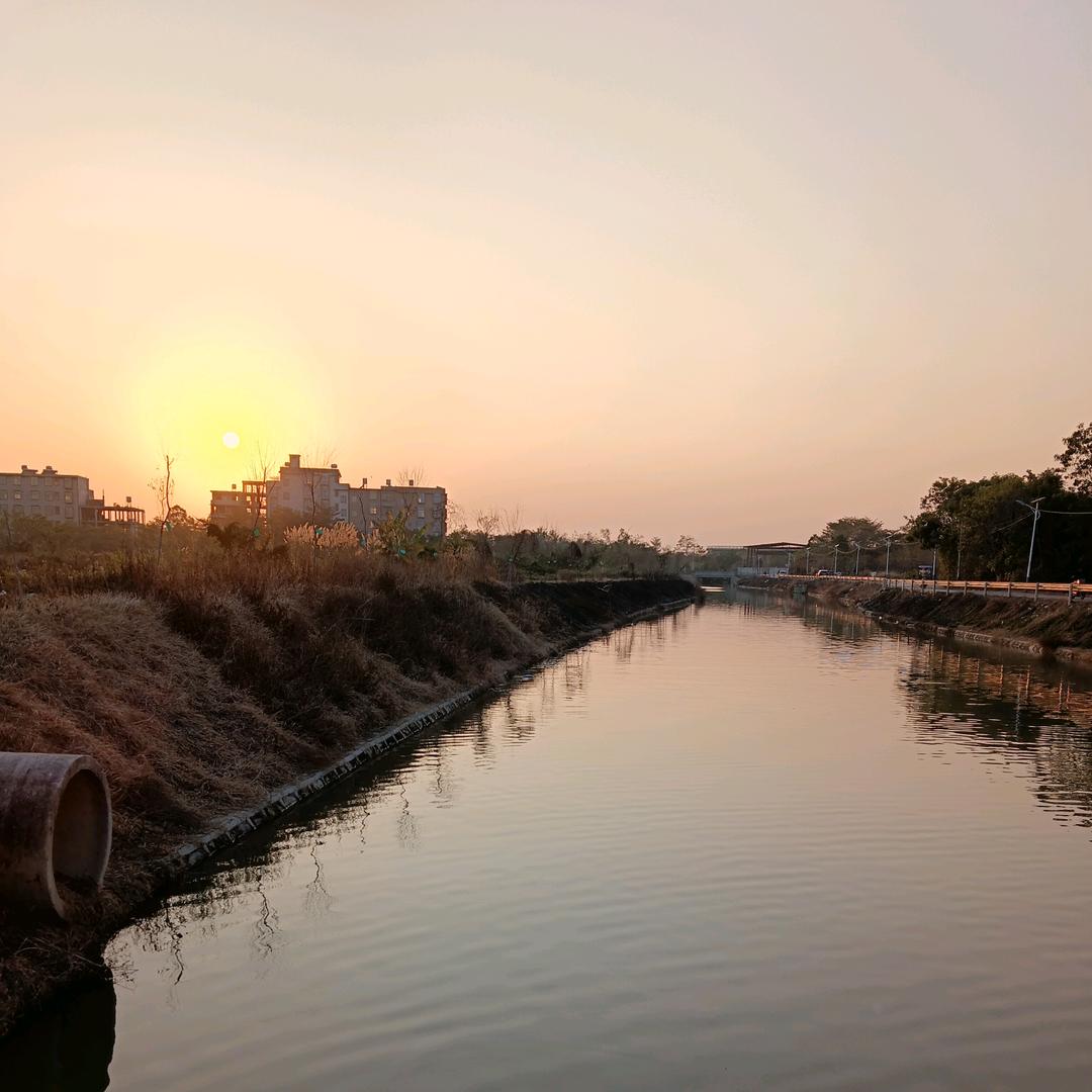 小陳