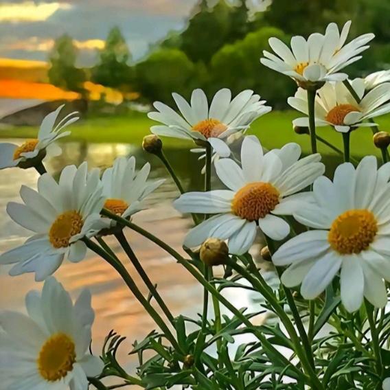 送给你づ❤️ど