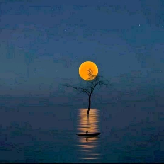 難     鍀   餬    塗