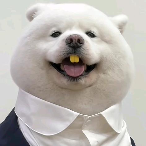 宝珠日语