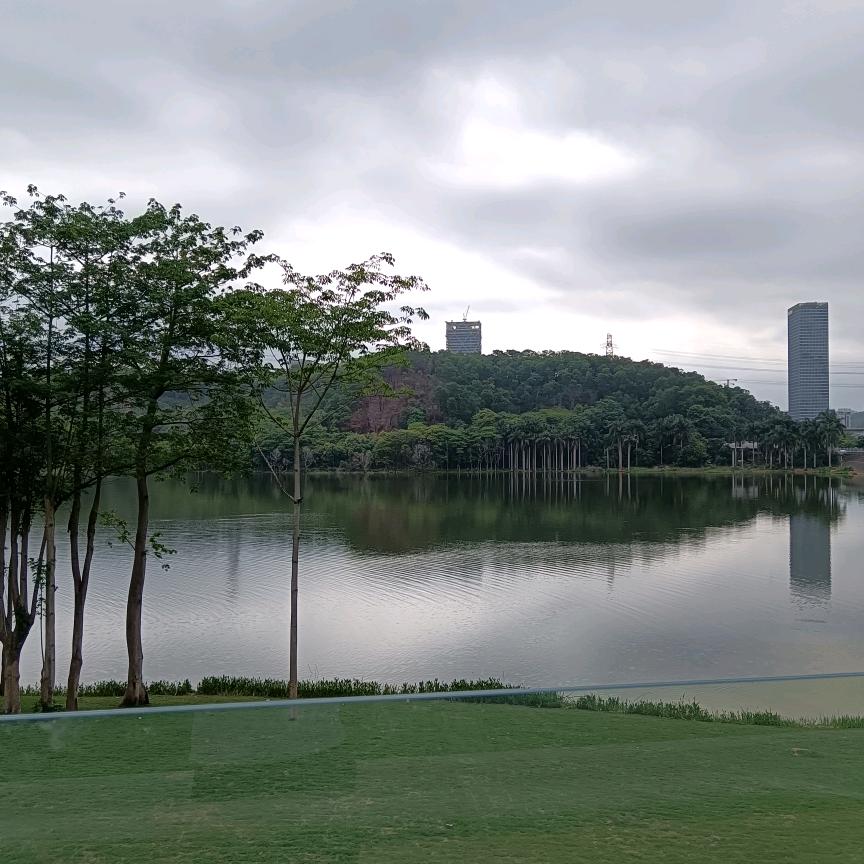 抖音号60786853909，强哥头像