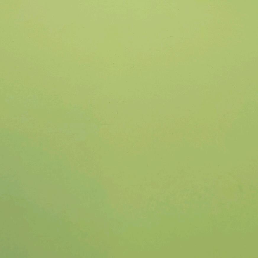 王咪咪不是猫