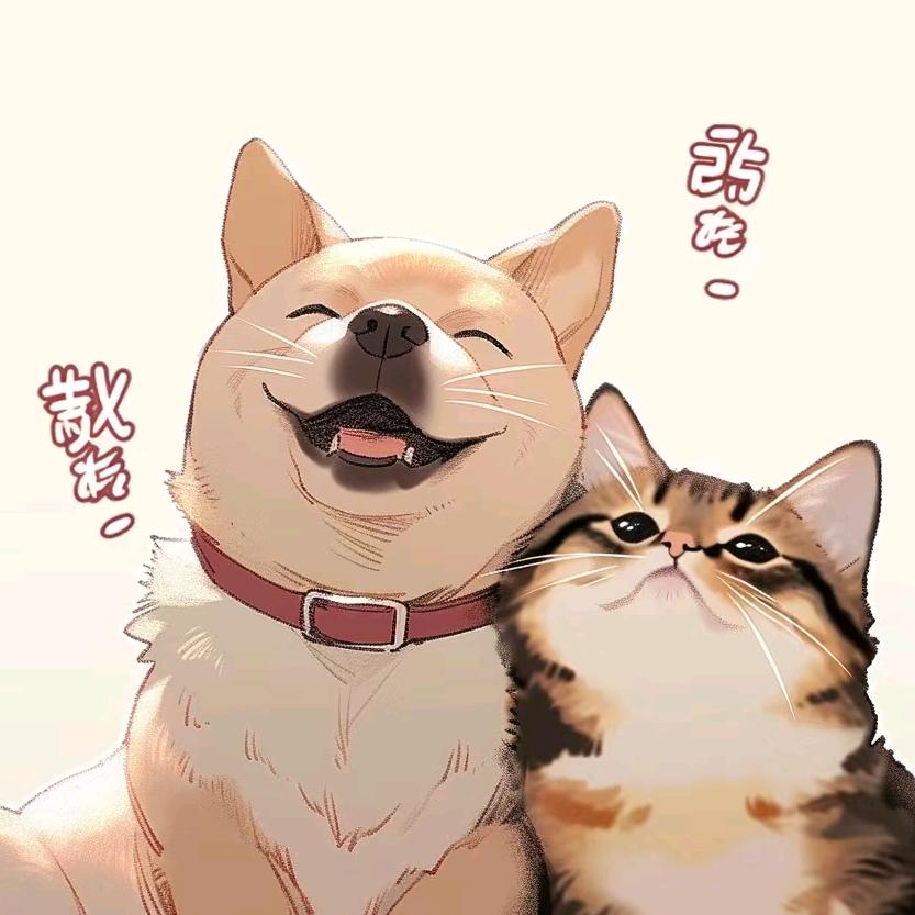 新哥水族