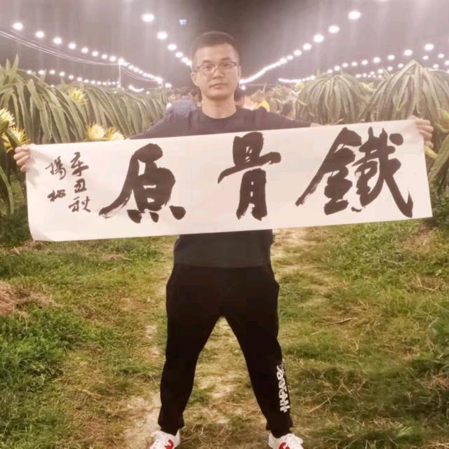 铁骨原功夫城——林一拔