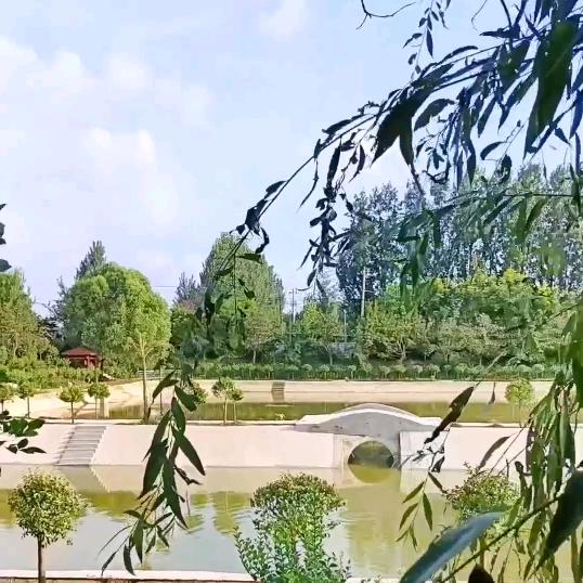 🍀吉祥三宝🍀