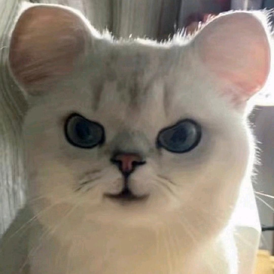 168