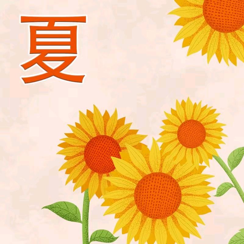夏左瑞柔筋养生仿