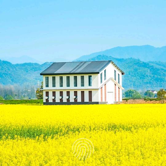 城城
