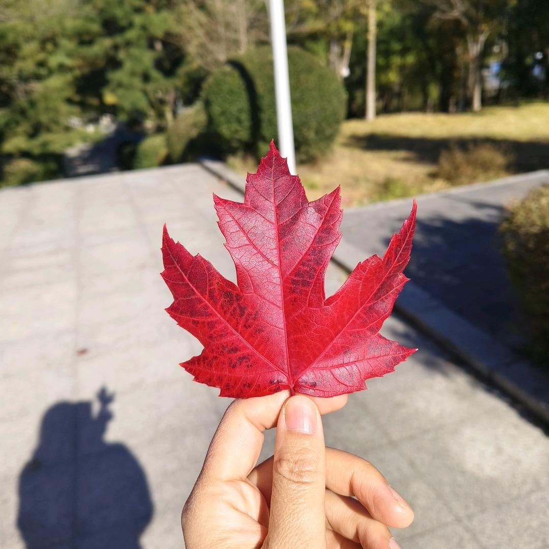 人间清醒