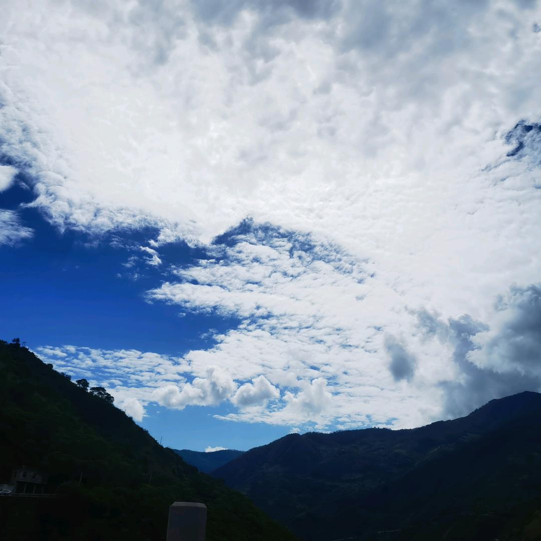 随风去