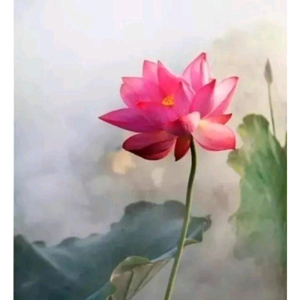安静的思考