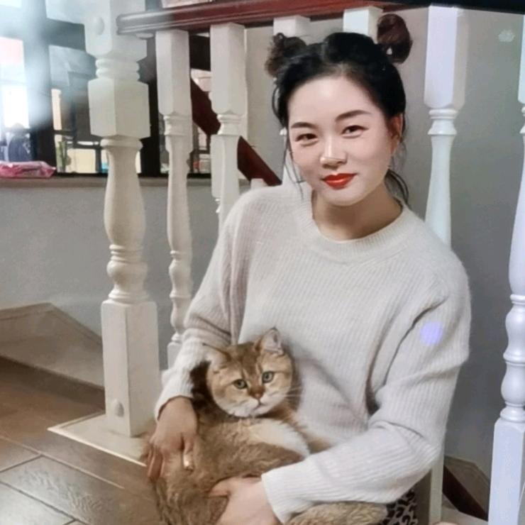 毛毛