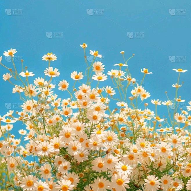 小王的国画日常