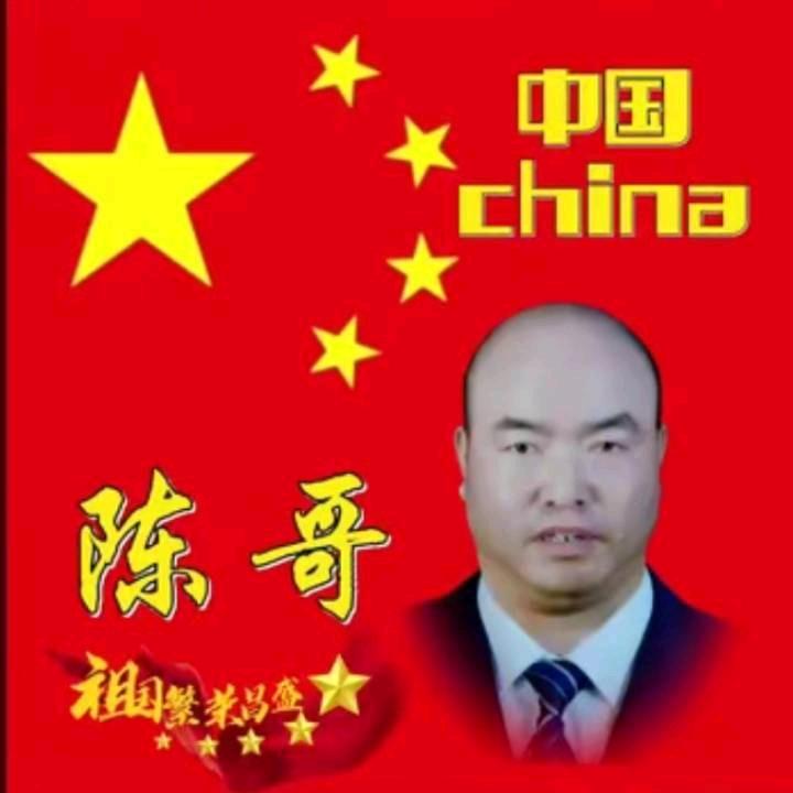 陈哥（1）
