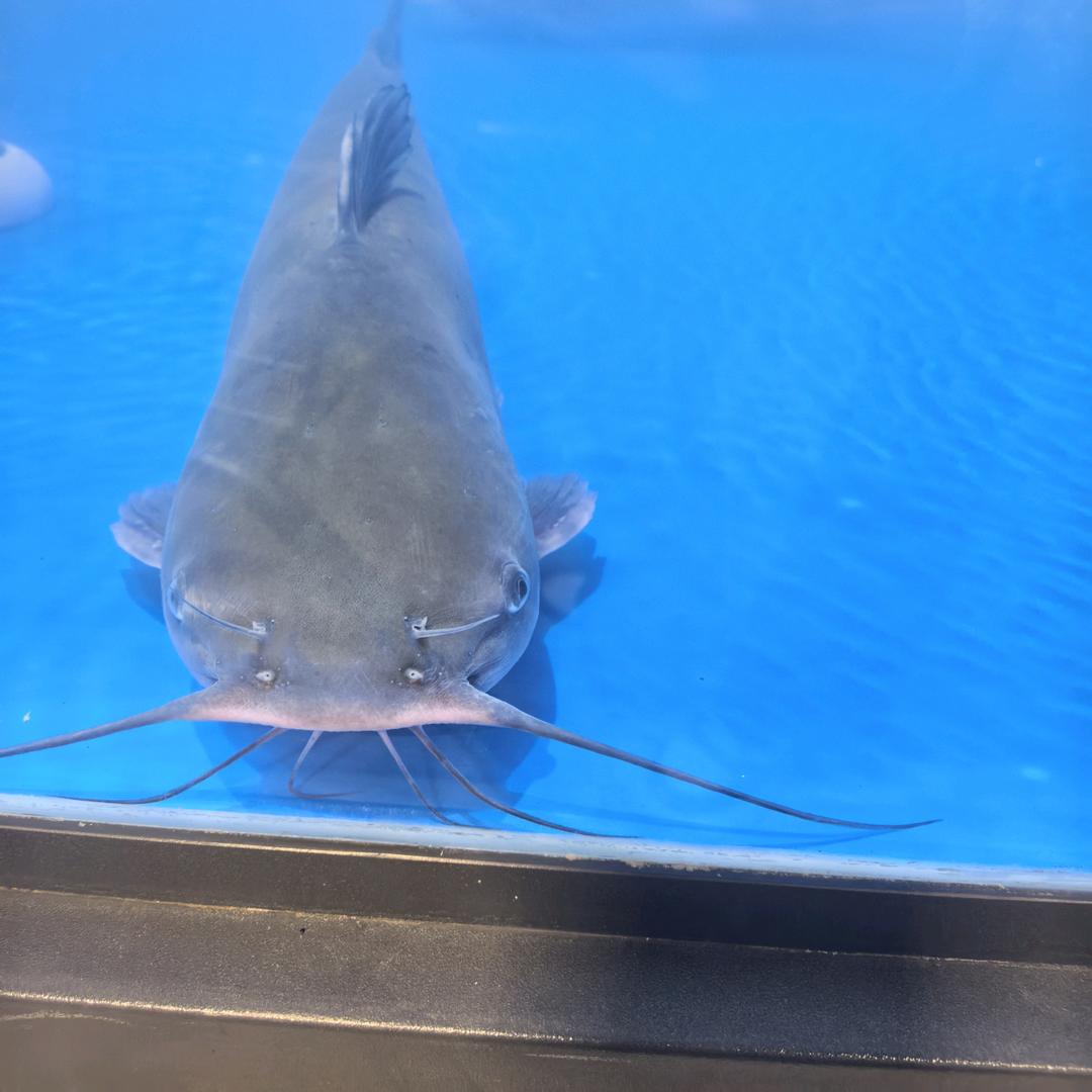 @᭄ꦿ很幸运ོ࿆遇见你᭄🕊:: 💕᭄