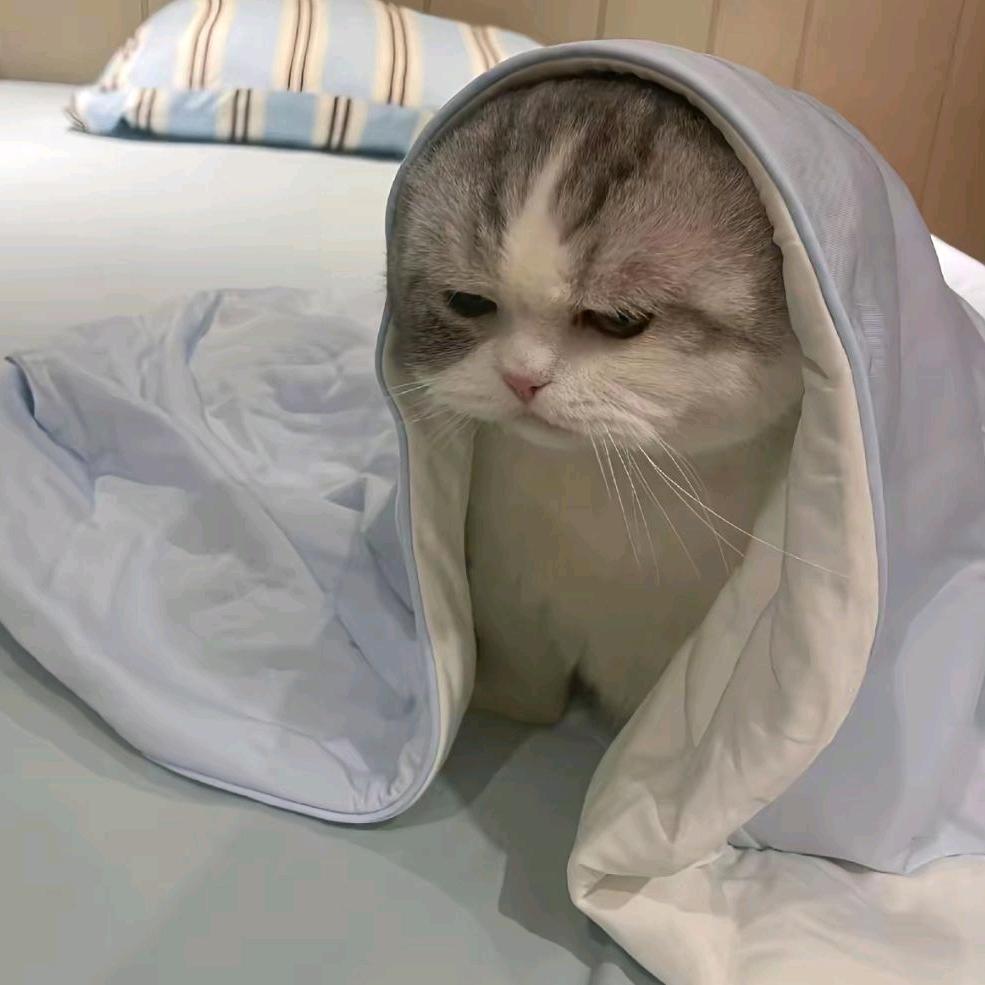 千纸鹤