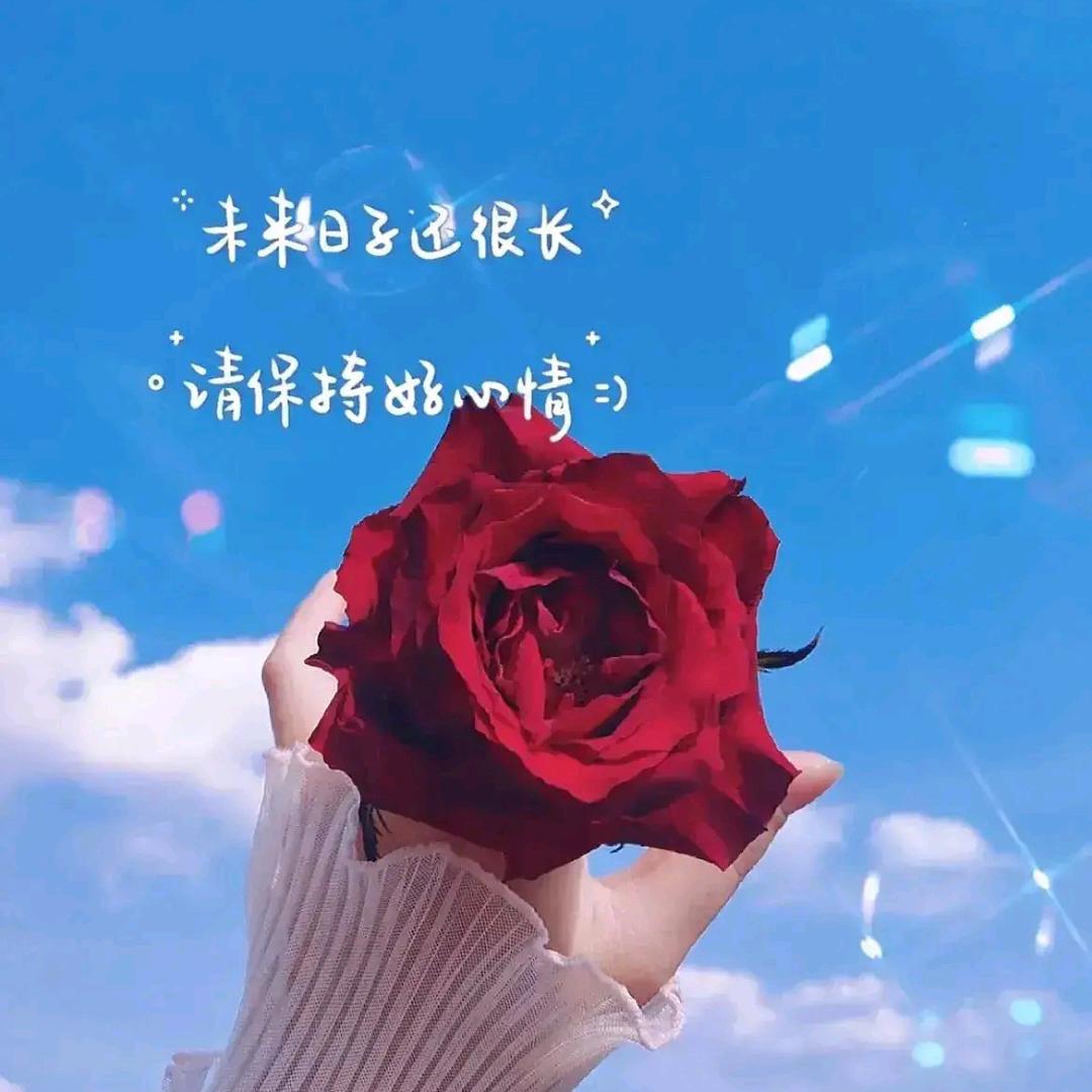涵妈优鑫