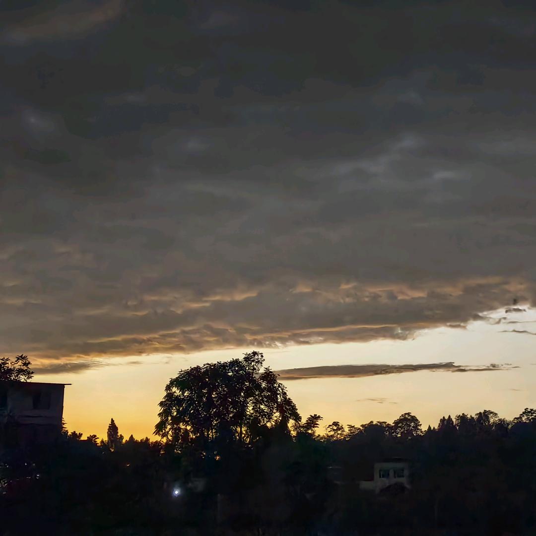 太阳永远在☀️☀️☀️就喜欢看木森。