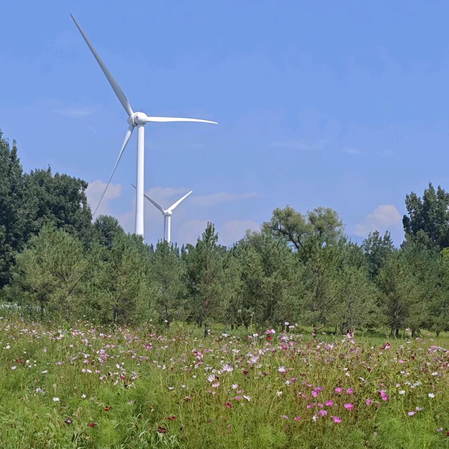 张张爱折腾ʚ🎃ɞ