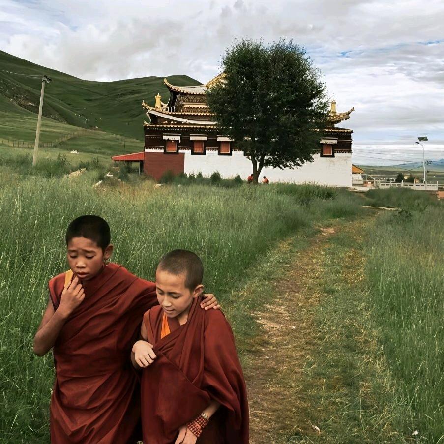 一个人的一生选择很重要