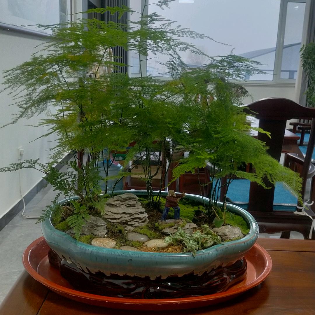 雨后彩虹