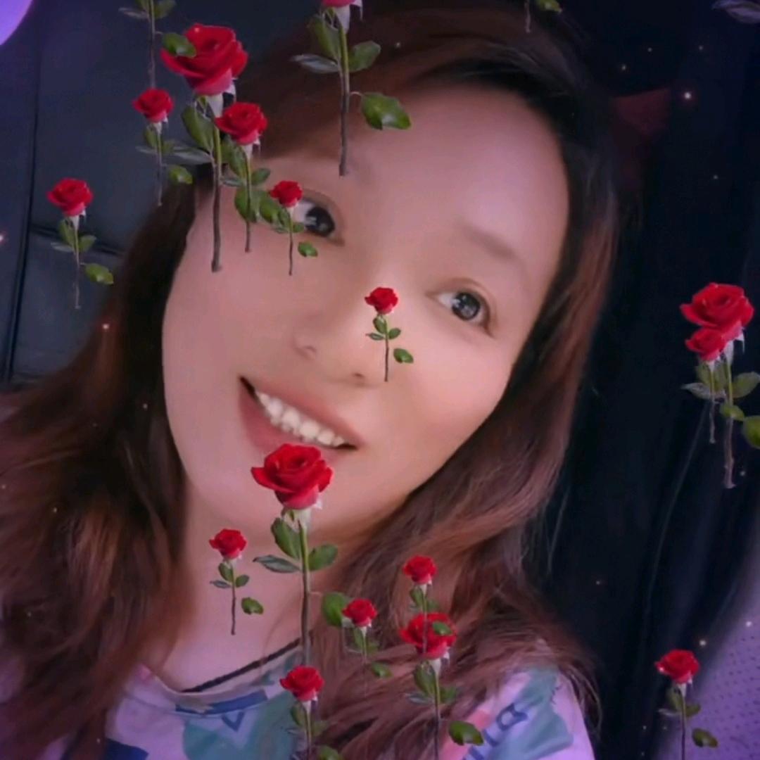 兔兔十月牡丹🌸