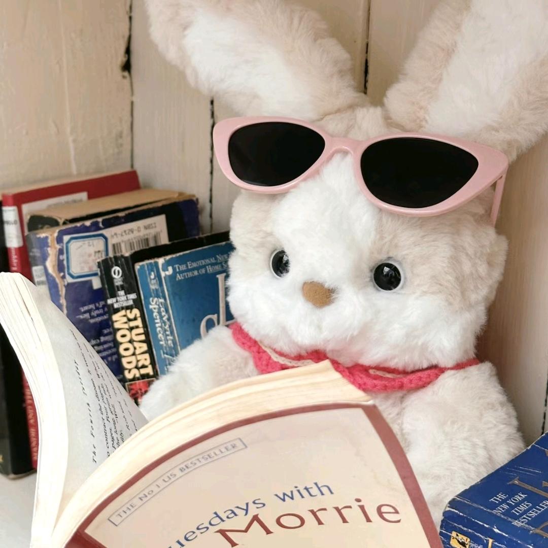 🌈兔飞猛进₍ᐢ..ᐢ₎   ༘🌈