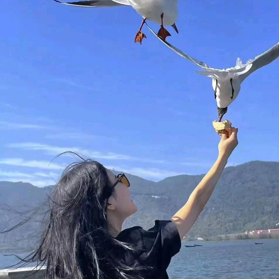 小助理吖699