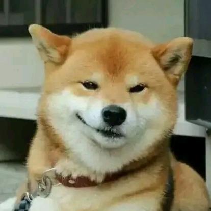 阿凡头像