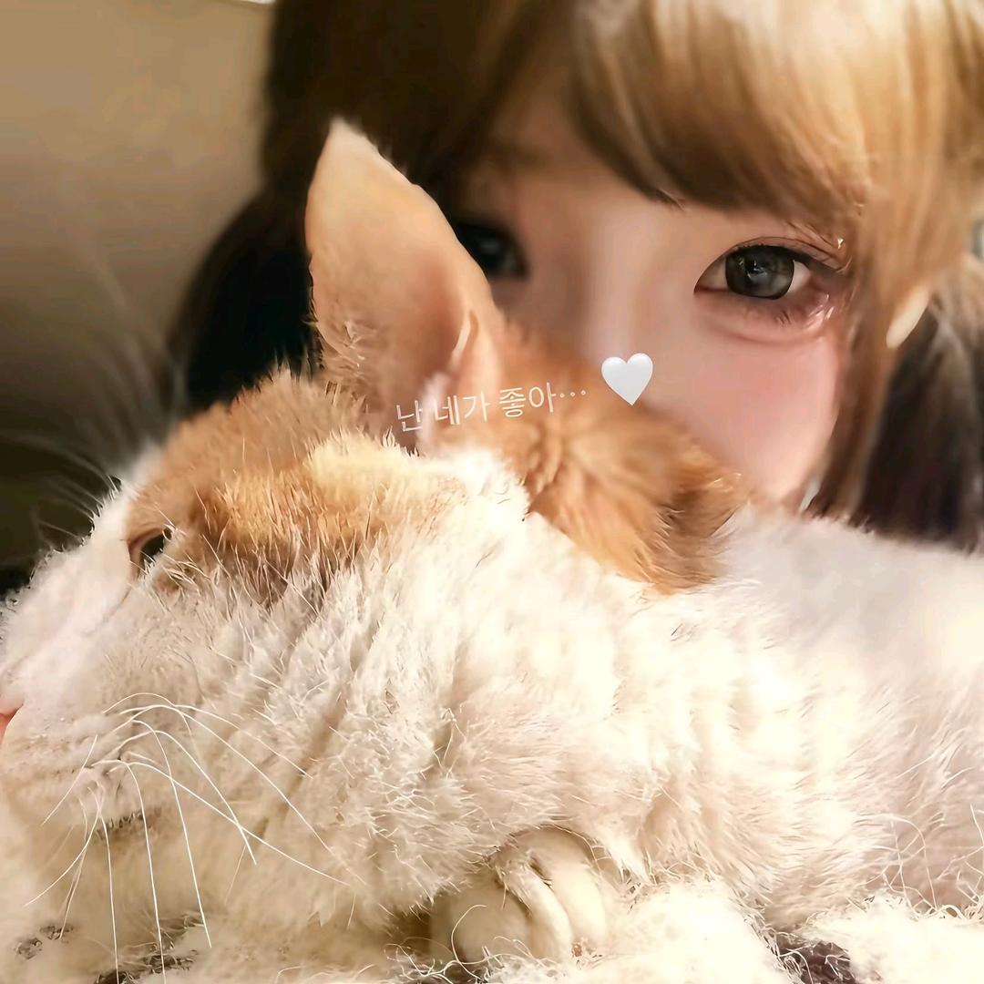 我才不在意