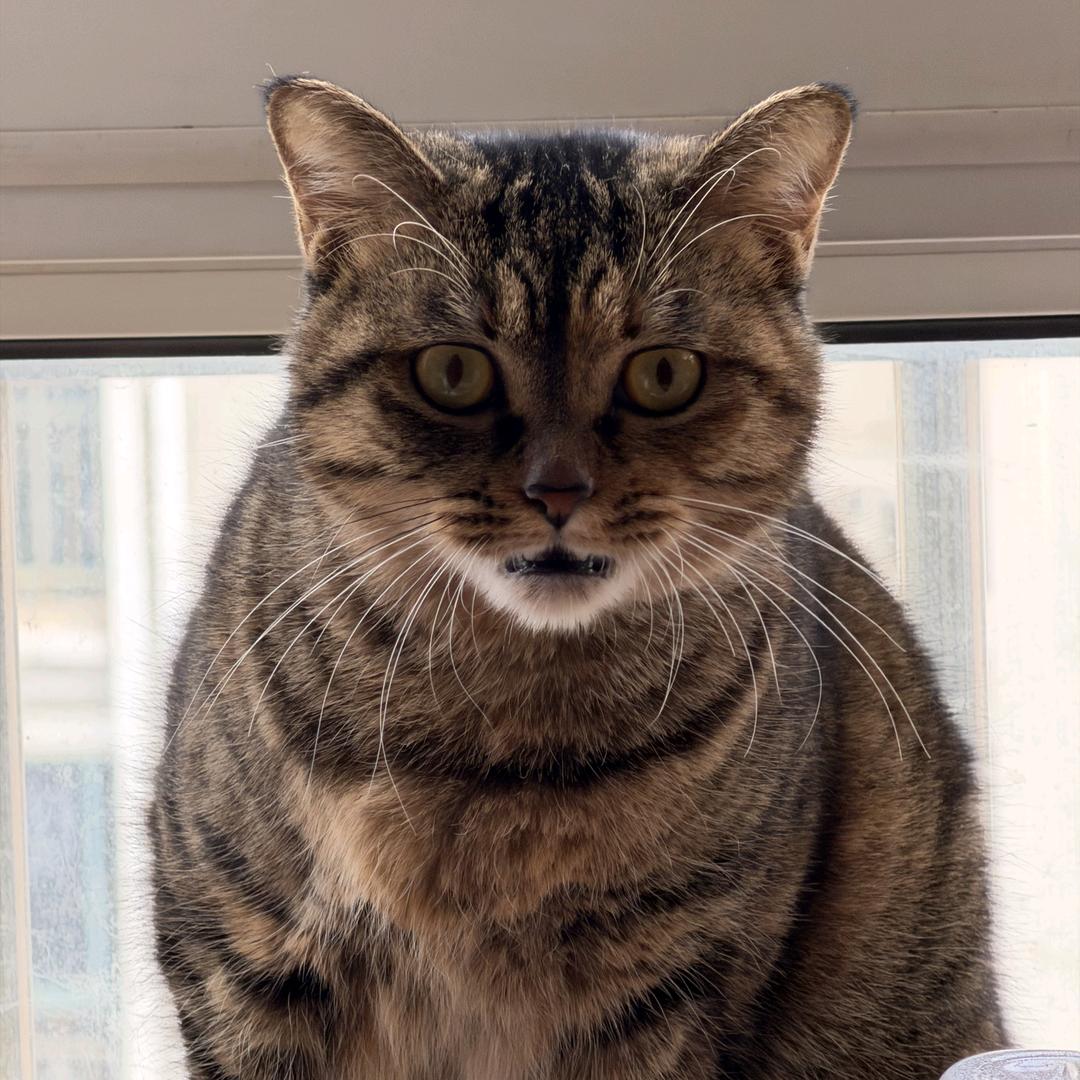 发配岭南的阿杰