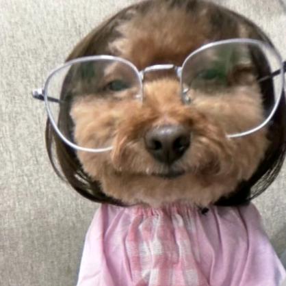 我有点困了。。。