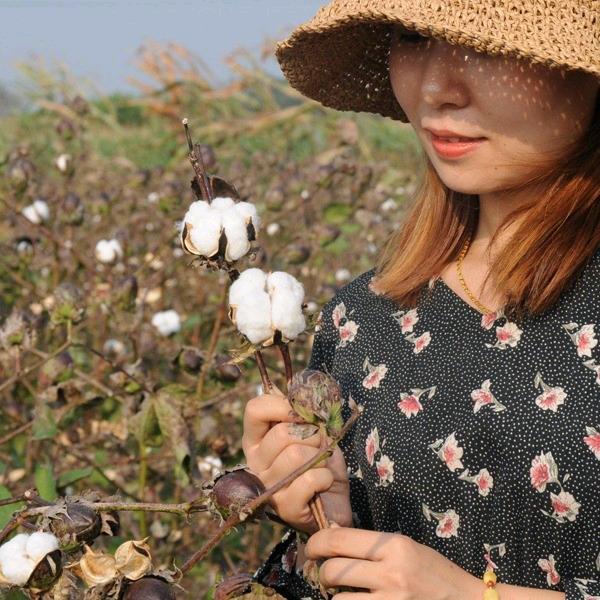 伊暖手工棉花被(只做全棉)