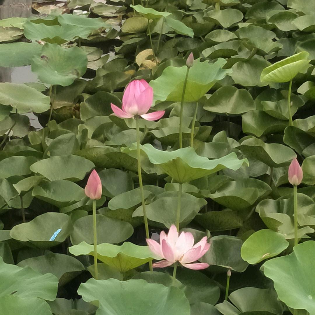 岁月静好(ง •̀_•́)ง