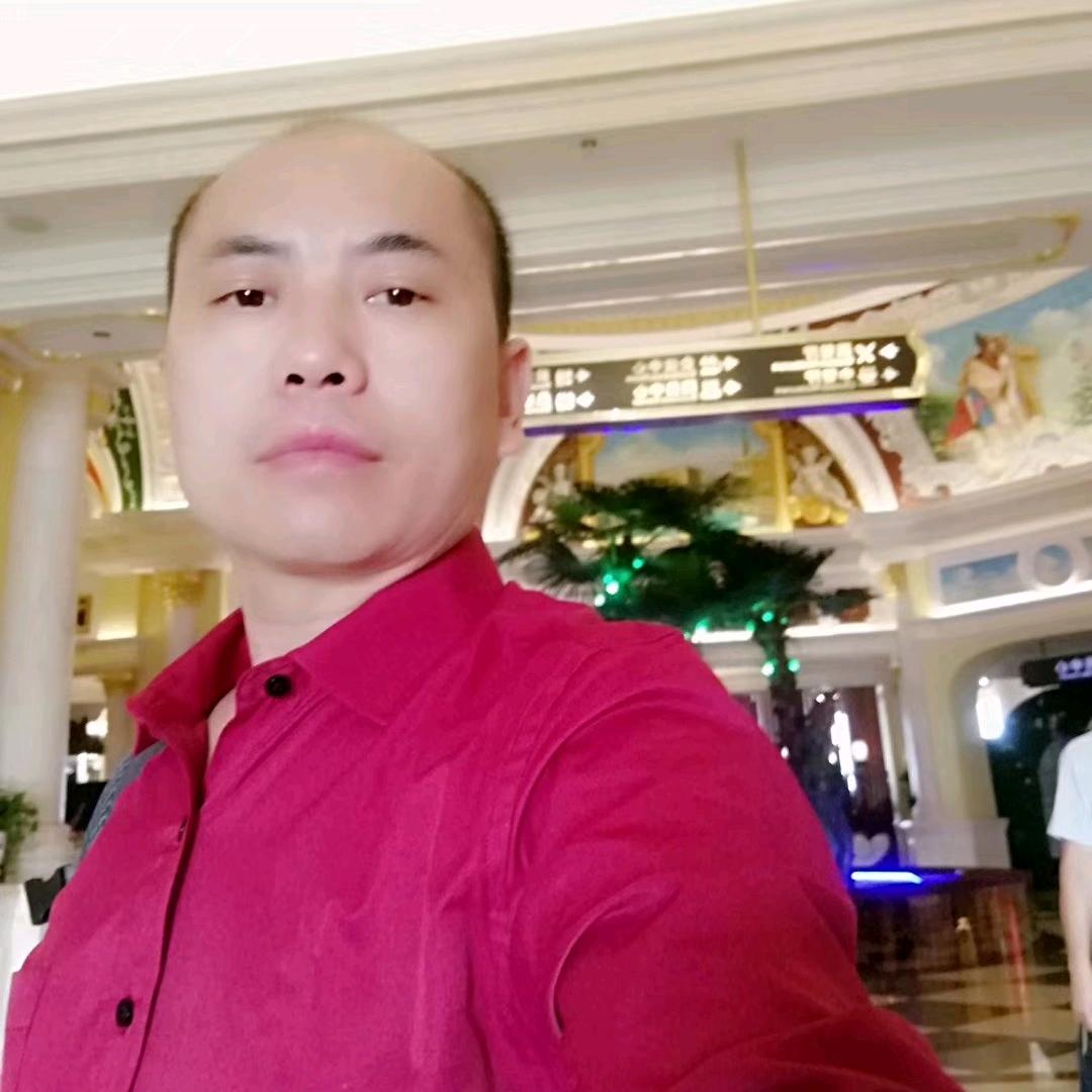 自由飞翔