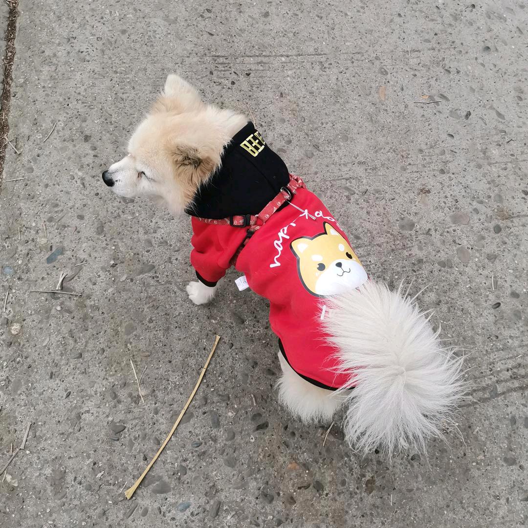 ℘開ꦿℳ心ঞᩚ就好꧔ꦿ࿐ ོ