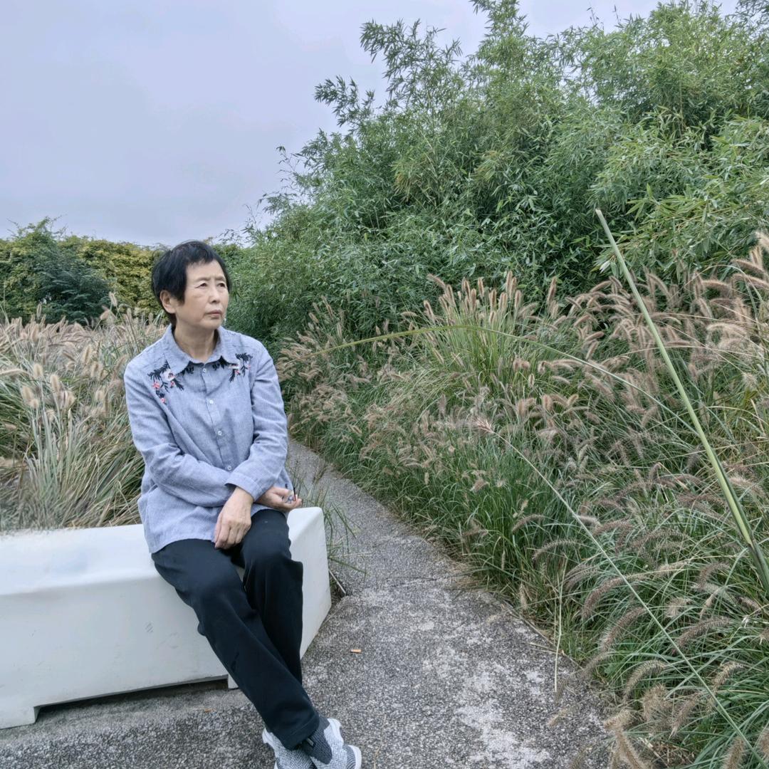 赵小洁