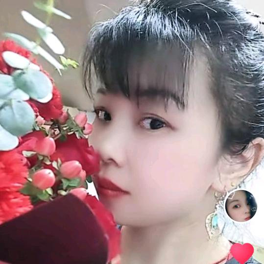 🍎越来🐯越好🍎