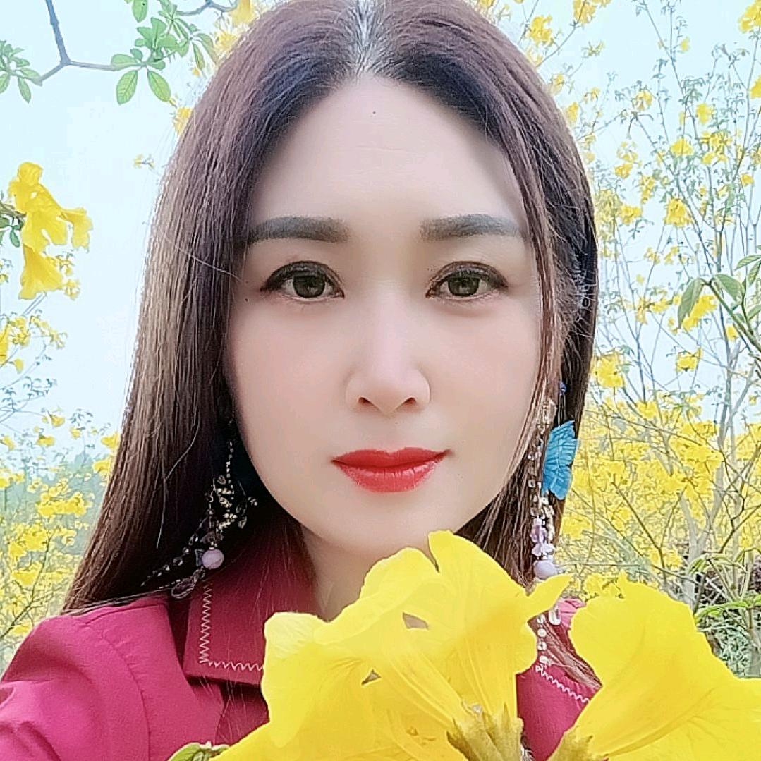 芳香玫瑰