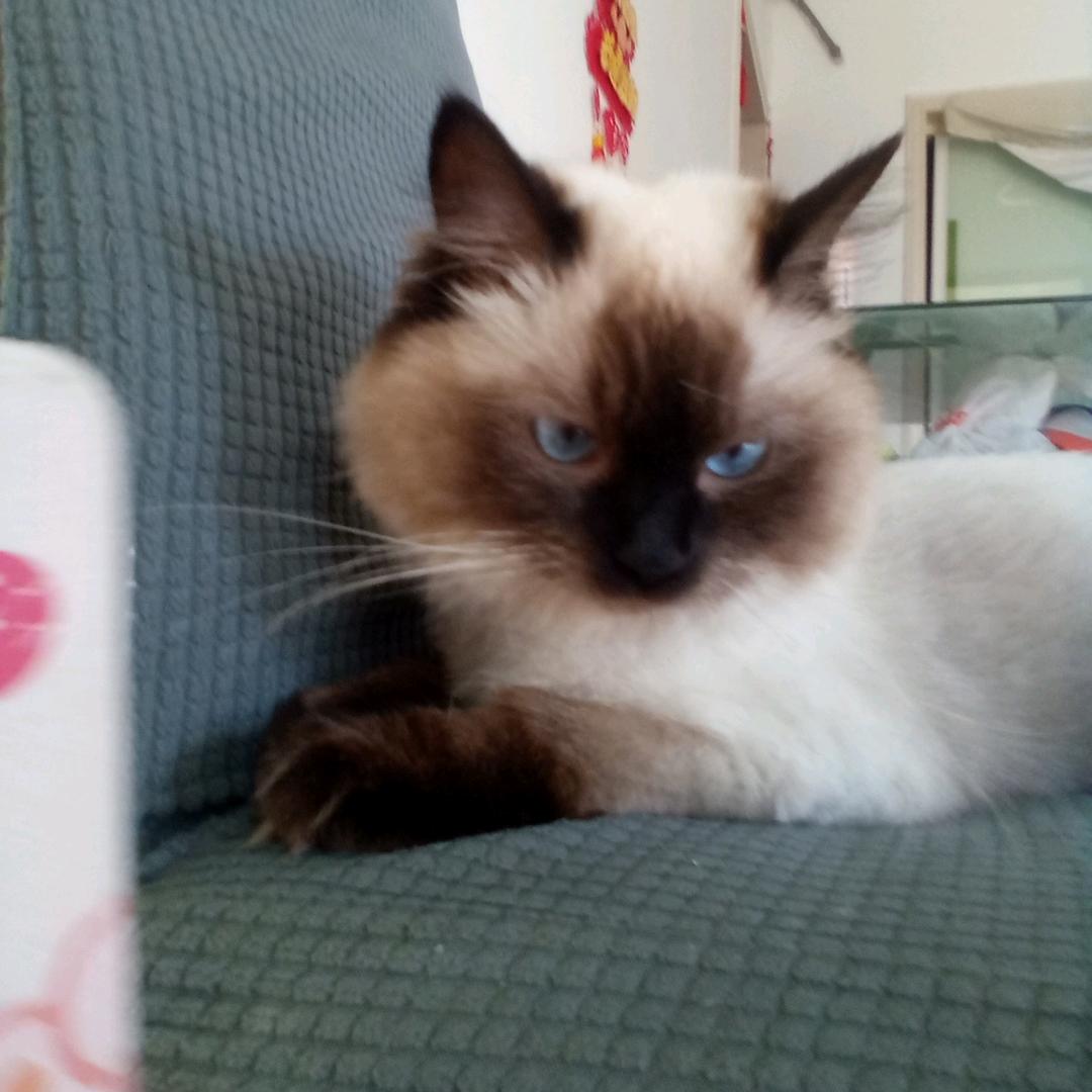 麻木人
