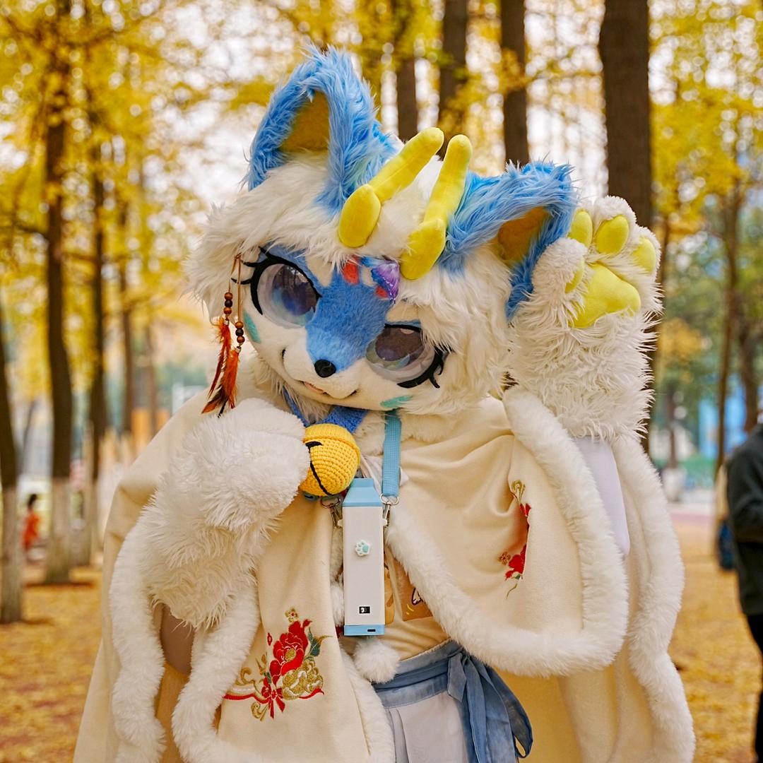 安苏漓仆大人🐾