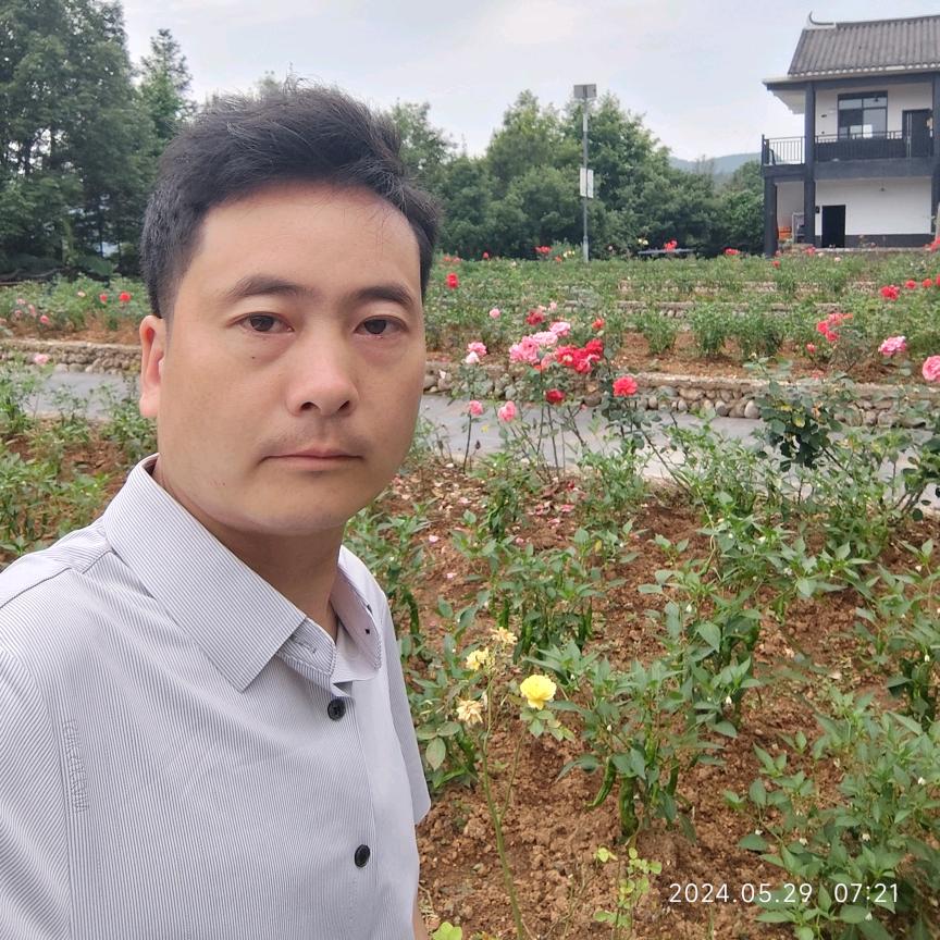 沙塘蜜薯石源村李鸥