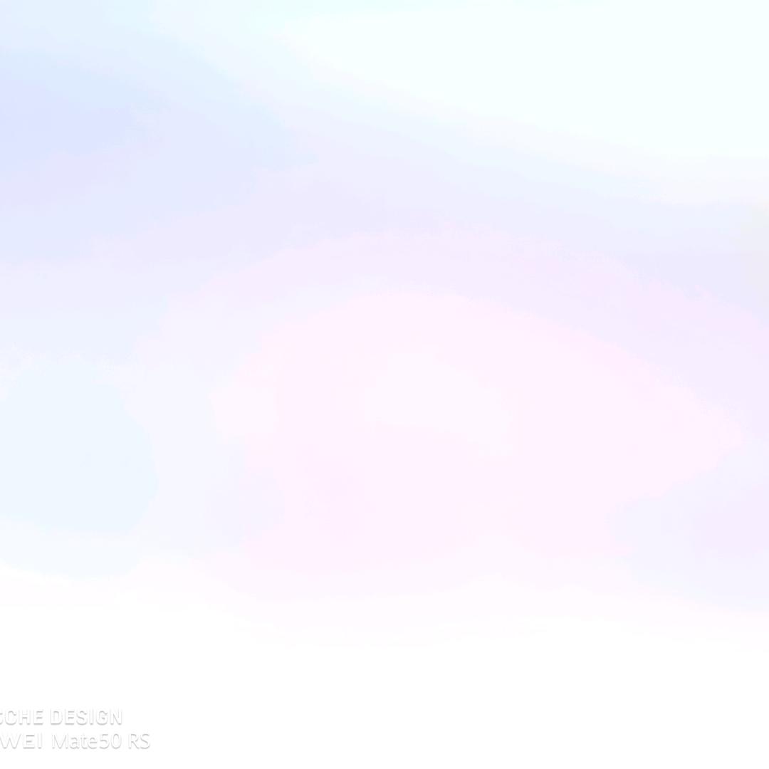 L刘伟