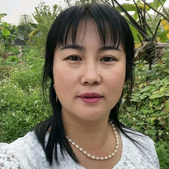 农村  李梅
