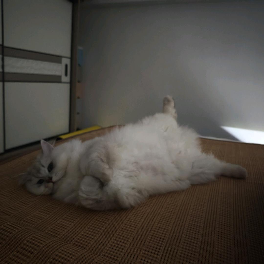 我叫没烦恼