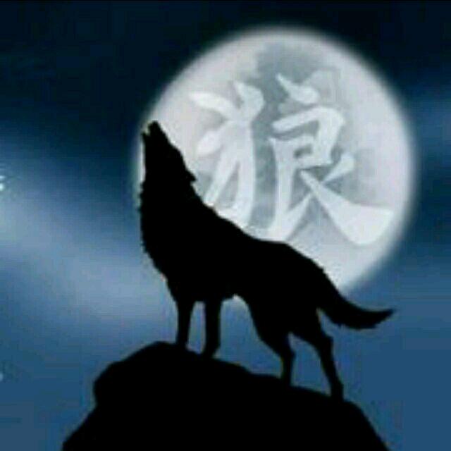 狼